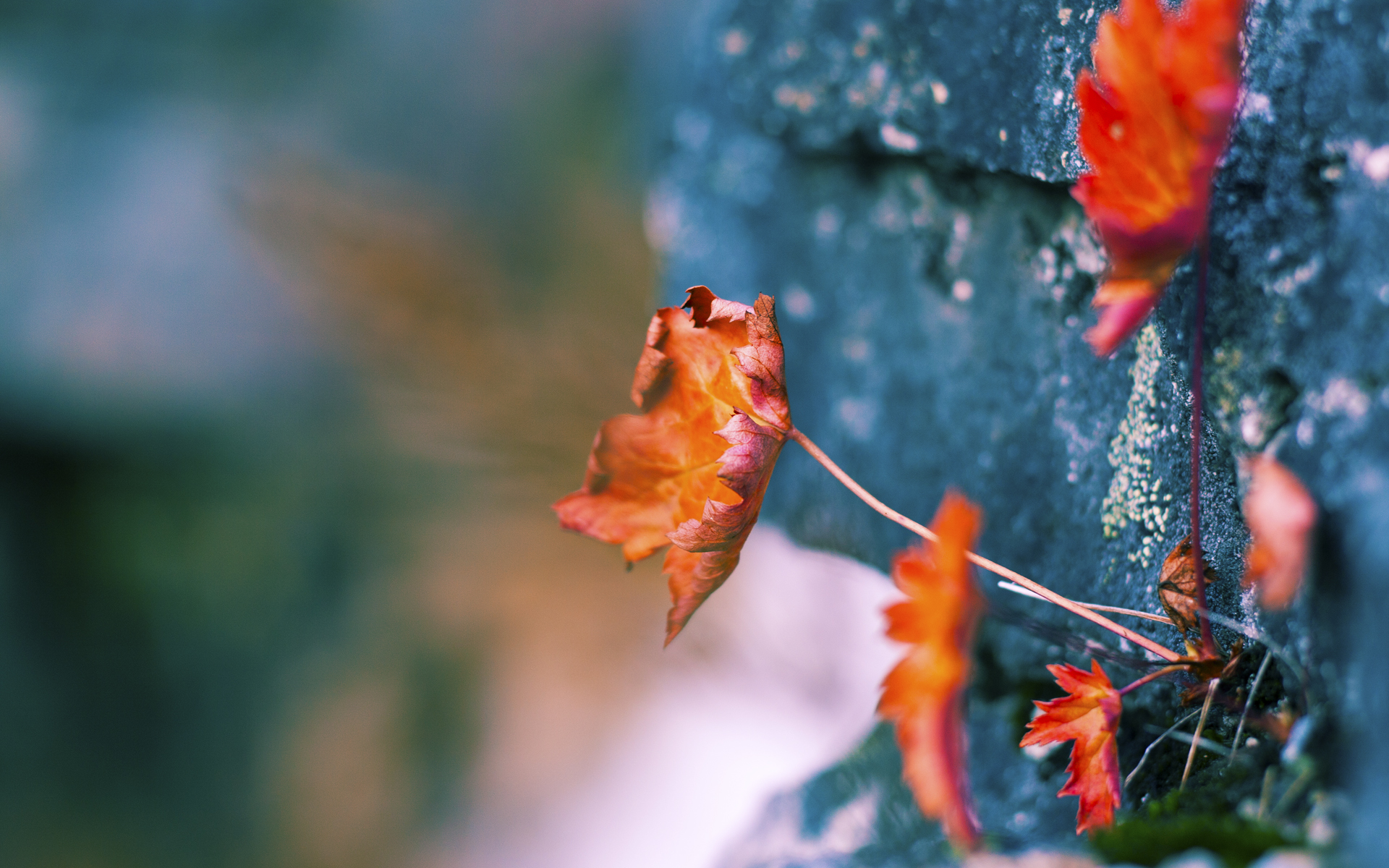 爱游戏体育入口-五大联赛替补出场效率分析是否能优化轮换思路，五大联赛换人名额