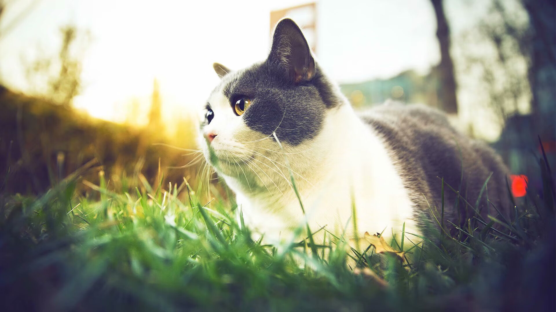 爱游戏ayx-拜仁U23梯队战术接轨一线队，形成体系闭环，拜仁23-0