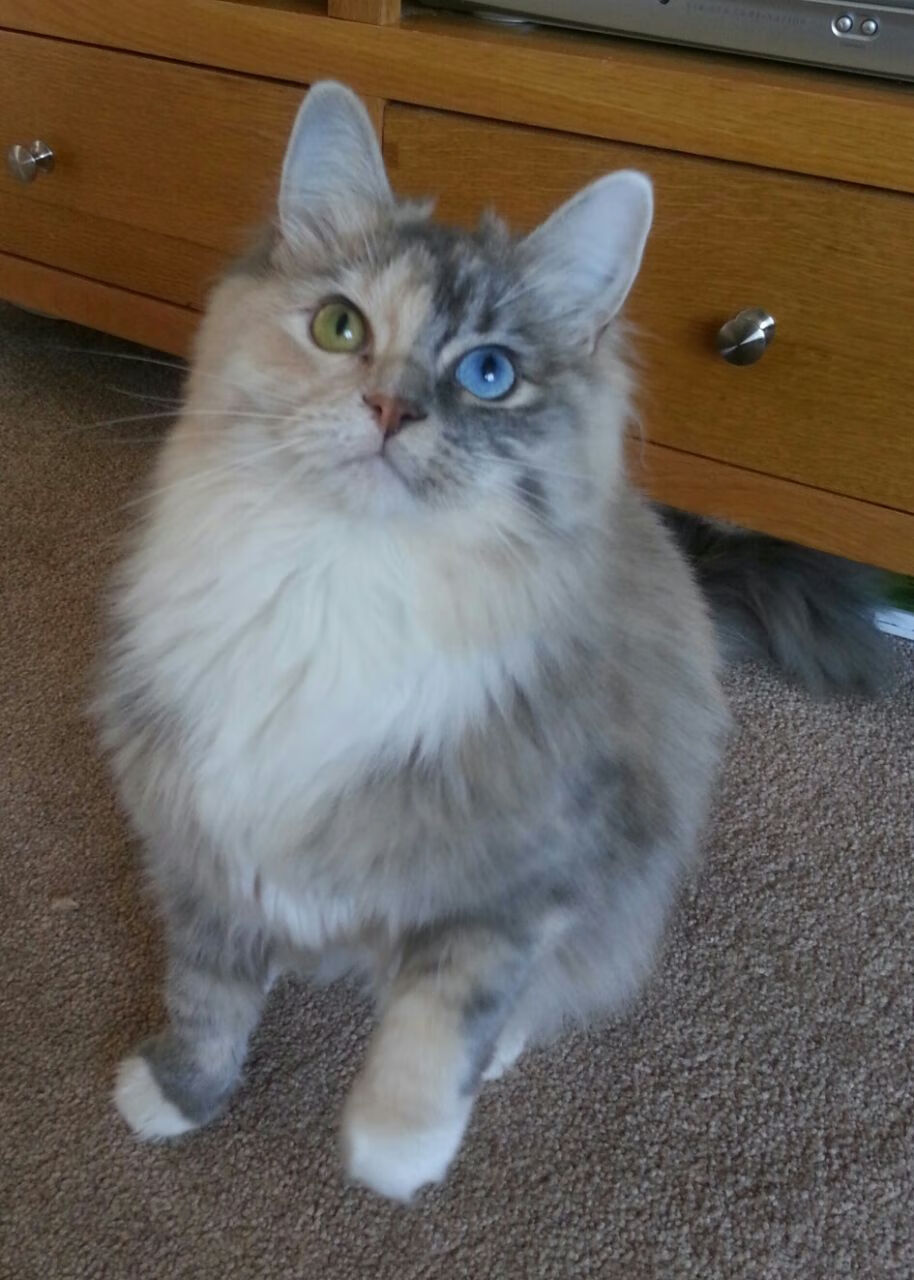 爱游戏体育入口-青训体系注重技术与体能结合，青训体系是什么