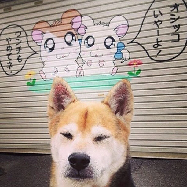 中超比赛场次增加要求球队提升阵容深度和应变能力,中超场次多少