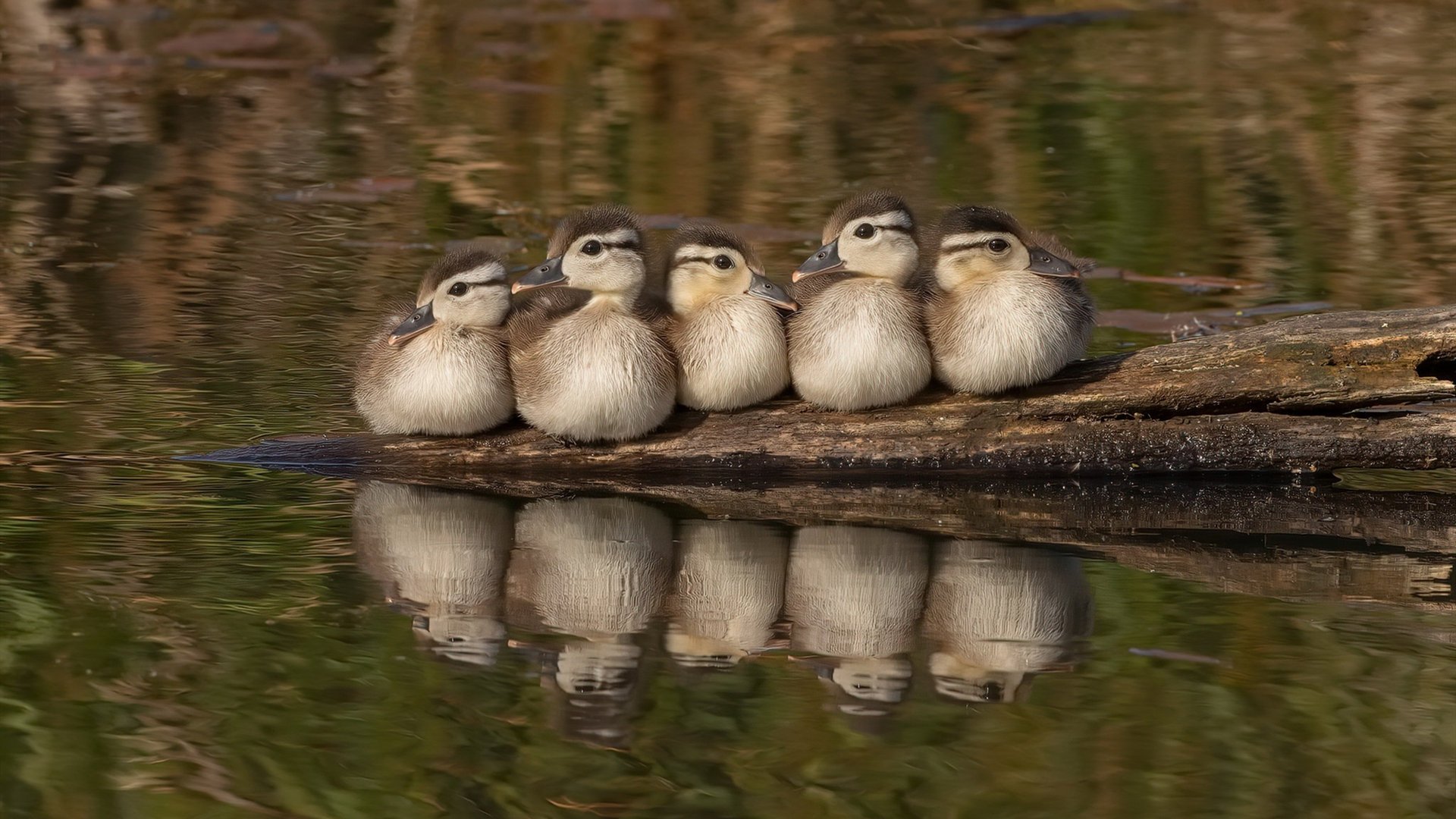 主教练强调阵容深度建设确保长赛季中各阶段战斗力不掉线,主教练挑战
