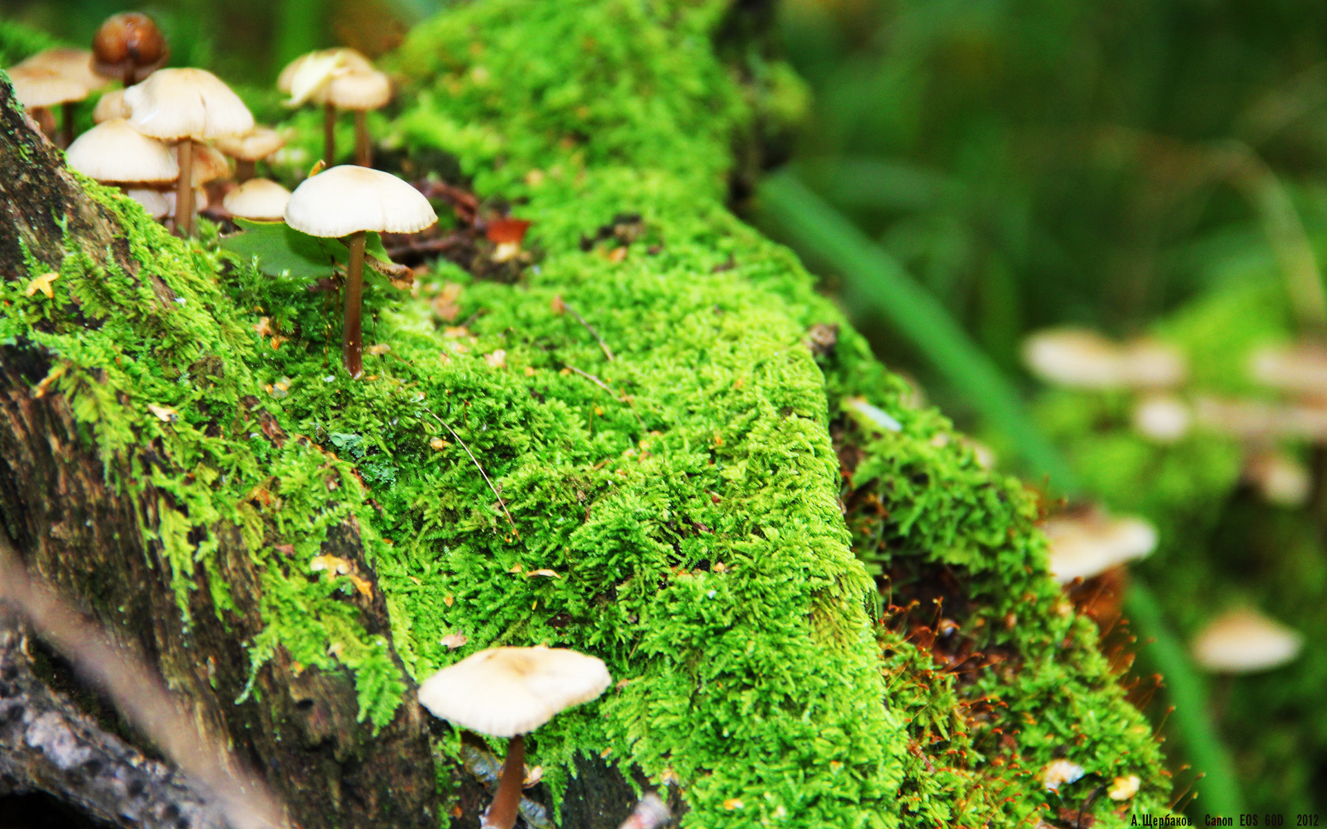 爱游戏体育在线-全球足球合作项目报告发布，推动跨国青训及基础设施建设，全球足球俱乐部