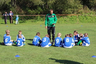 爱游戏官网-南非混合泳团队战术引热议，南非的混合农业