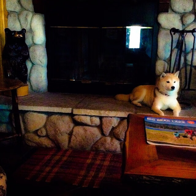 奇库诺娃精准转身成胜负分水岭,库奇fanatic