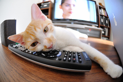 尤文图斯中场引援成功,球队实力增强