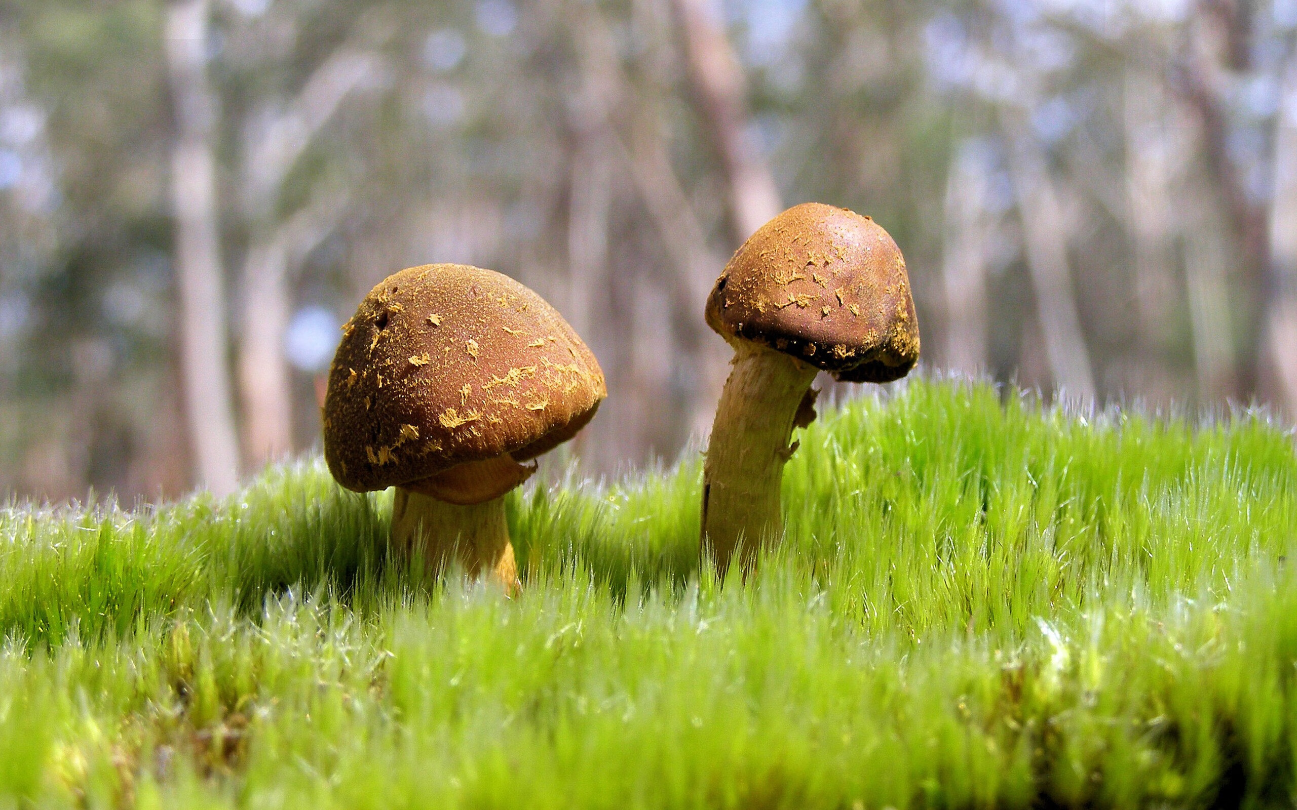 数字科技让足球比赛现场观众体验更丰富,互动性增强,数字智能足球