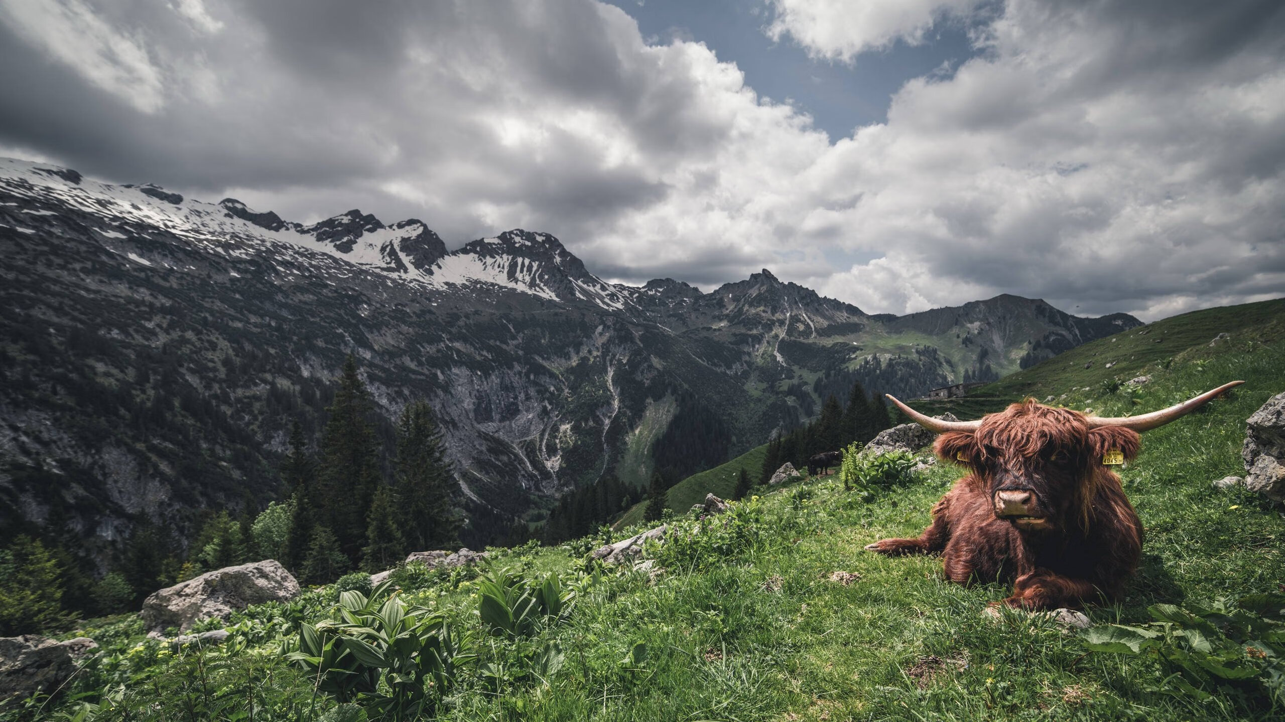 爱游戏app下载-新兴足球强国崛起，未来国际赛场格局将发生改变，全国首个“新型足球学校”揭牌