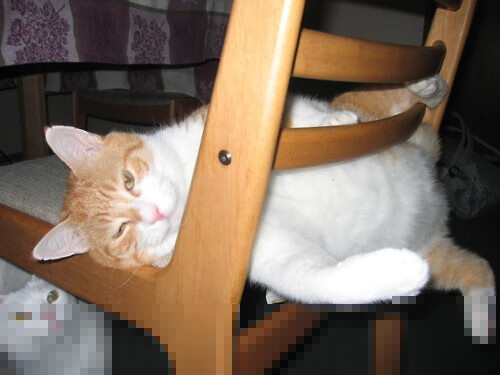 曼联在主场逆转取胜,积分追赶领先榜首