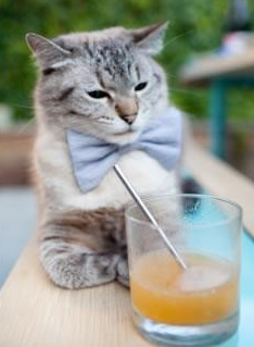 爱游戏平台-欧洲杯战局变幻莫测：策略多变，精彩不断！，欧洲杯局势