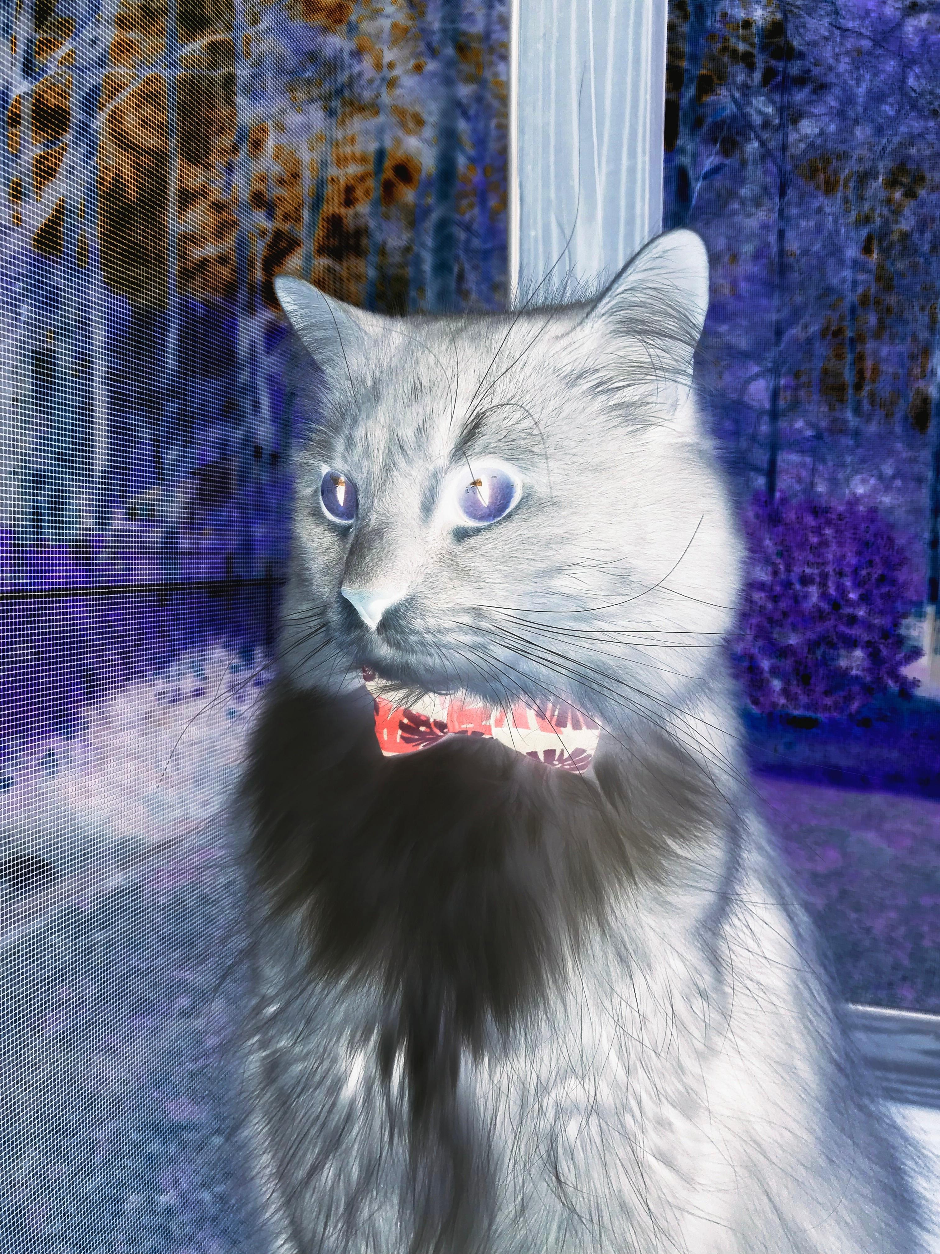 池中速度与体能稳定性形成训练亮点