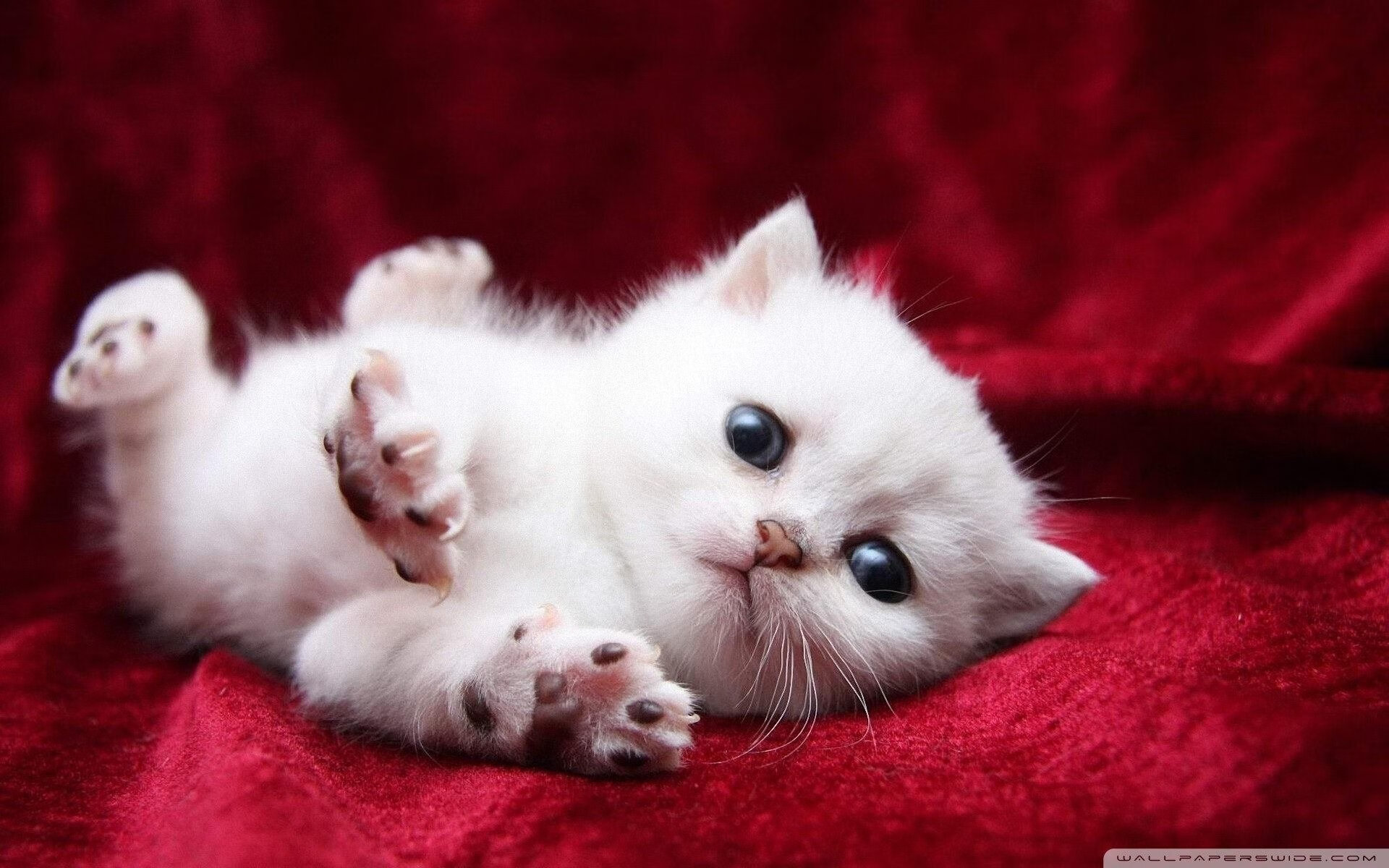 爱游戏体育官网-职业联赛推动球队视觉统一提升品牌辨识度