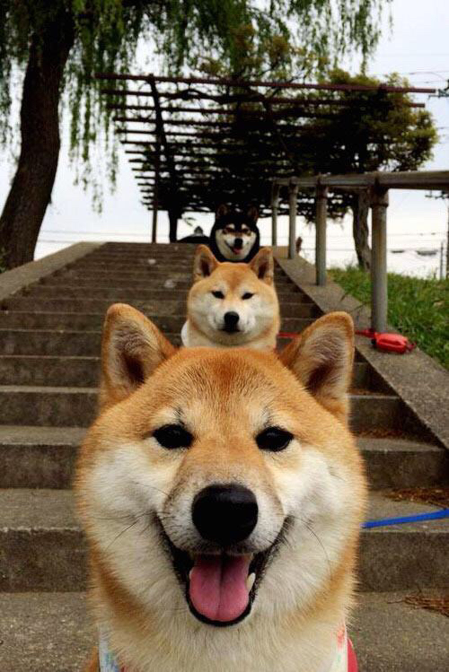 谢佩玲冲刺阶段技压群雄,谢佩佩台湾